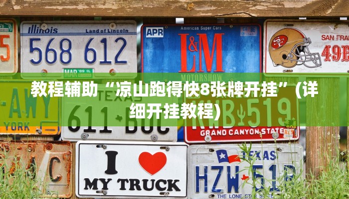 教程辅助“凉山跑得快8张牌开挂”(详细开挂教程)