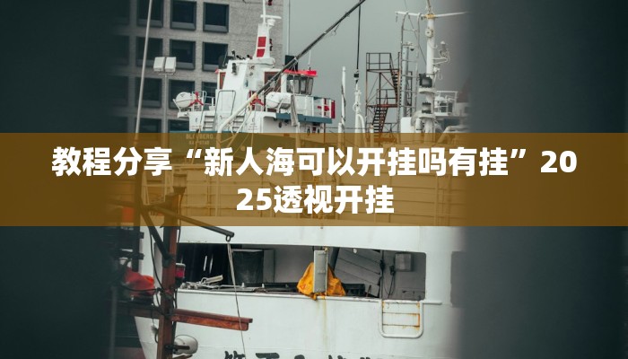 教程分享“新人海可以开挂吗有挂”2025透视开挂 教程分享“新人海可以开挂吗有挂”2025透视开挂