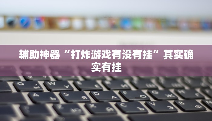 辅助神器“打炸游戏有没有挂”其实确实有挂 辅助神器“打炸游戏有没有挂”其实确实有挂