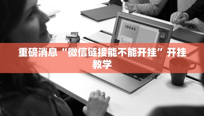 重磅消息“微信链接能不能开挂”开挂教学