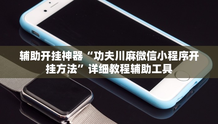 辅助开挂神器“功夫川麻微信小程序开挂方法”详细教程辅助工具