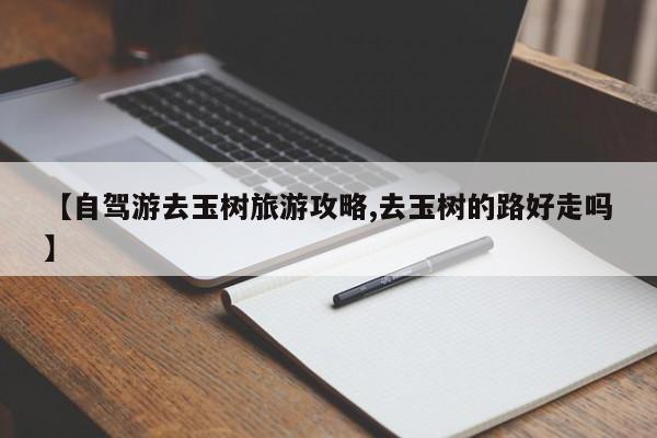 【自驾游去玉树旅游攻略,去玉树的路好走吗】