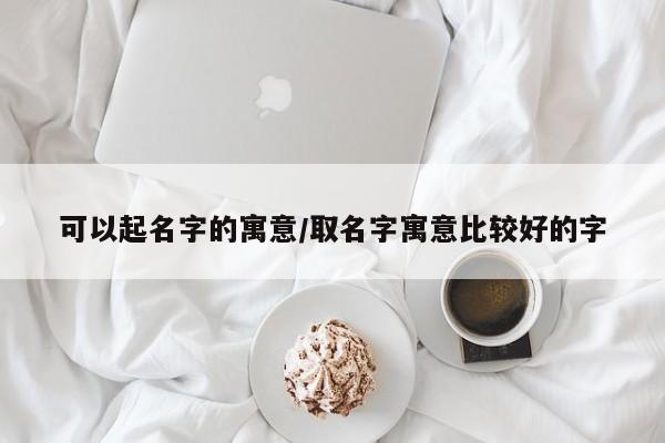 可以起名字的寓意/取名字寓意比较好的字