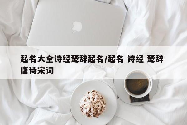 起名大全诗经楚辞起名/起名 诗经 楚辞 唐诗宋词